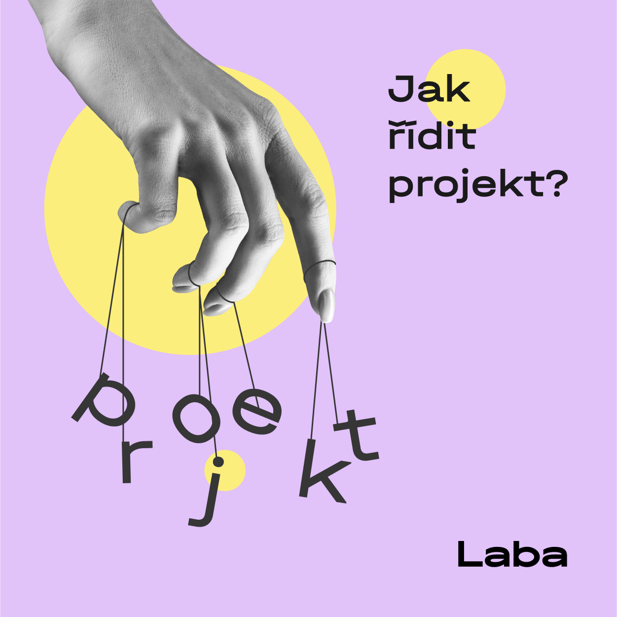 Jak řídit Projekt | Laba Czech