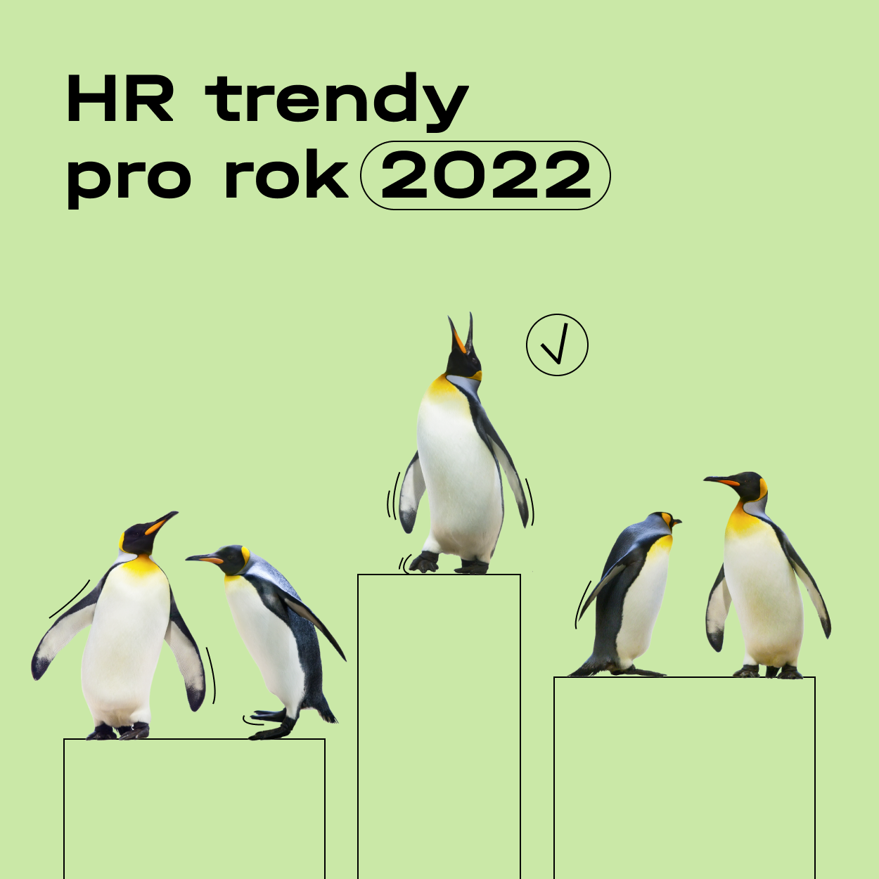 trendy-v-hr-pro-rok-2022-laba-czech